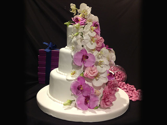 Nişan & Düğün Pastaları / Engagement & Wedding Cake
